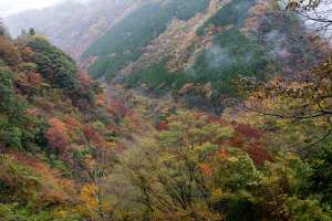 栴檀轟きの瀧周辺の紅葉